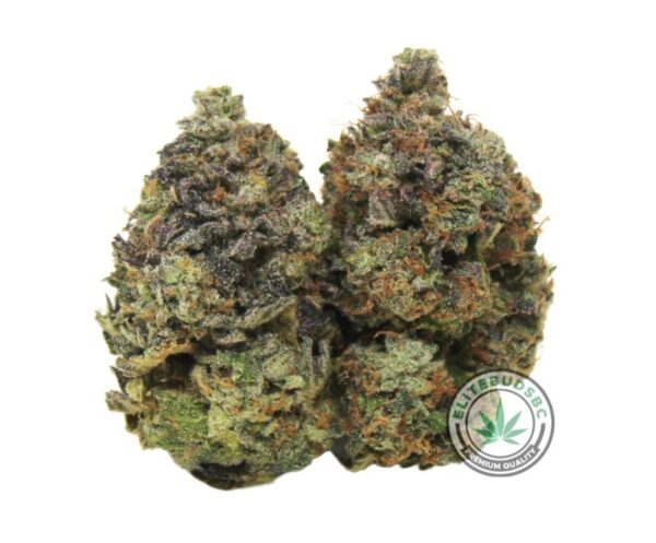 DIRTY BIRD (AAAA)