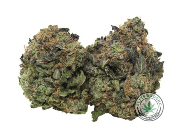 GRAPE APE (AAAA)