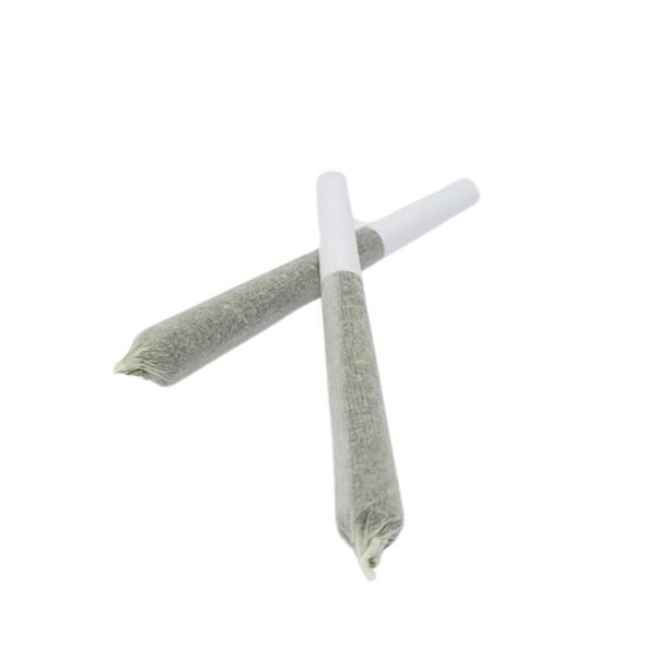 DIRTY BIRD PRE ROLL JOINT - 1G - Image 2