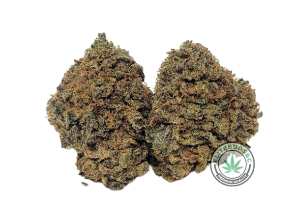 BERRY PIE (AAA)