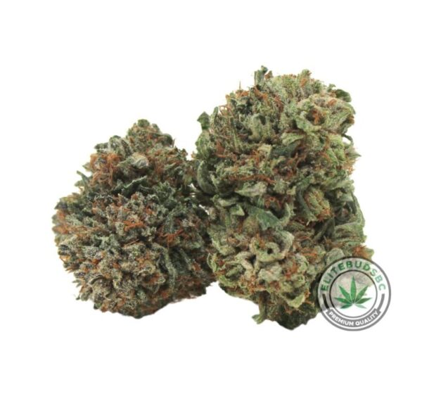 KINGS KUSH (AAA+)