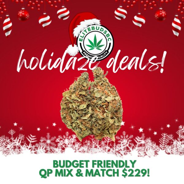 HOLIDAZE DEAL - BF QP MIX AND MATCH $229!
