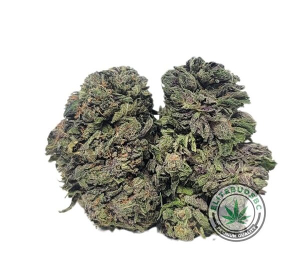 GRAND DADDY PURPLE (AAA)
