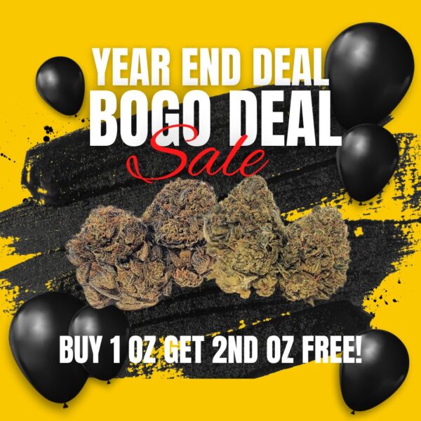 YEAR END BOGO DEAL - BUY 1 GET 1 FREE!