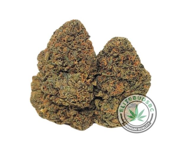 ICE CREAM CAKE (AAA+)