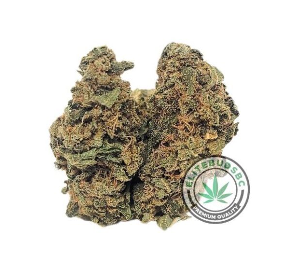 BUDGET FRIENDLY - RED CONGO (CLEARANCE)
