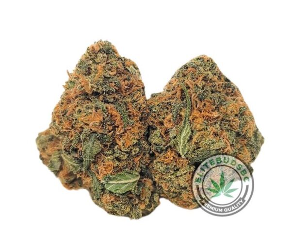 SKYWALKER OG (AAA+)
