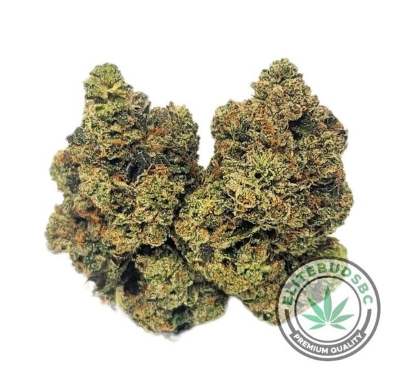 ROCKSTAR (AAA+)