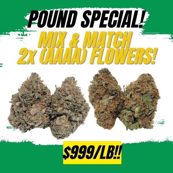 QUAD POUND SPECIAL - $999!!