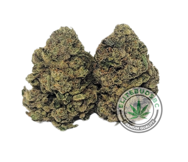 PLATINUM BLACKBERRY (AAAA)