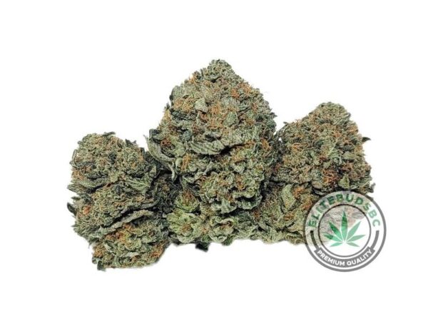 POUND SPECIAL - CHEMDAWG (AAA+)