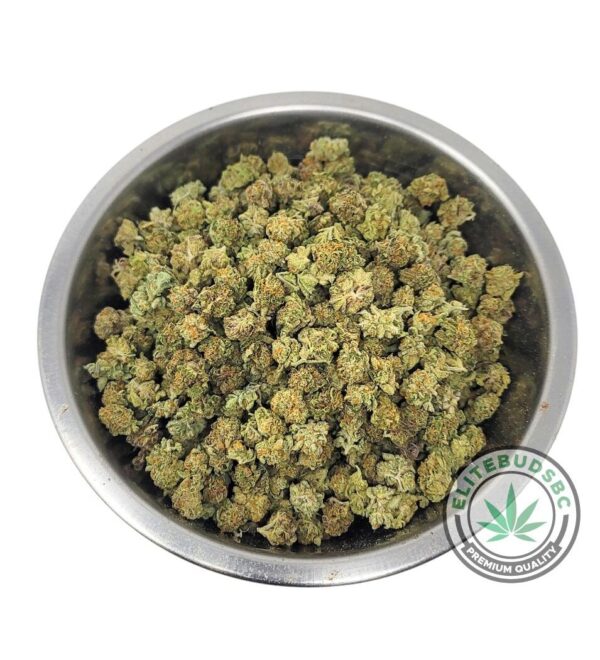 BLACK CHERRY SODA (AAAA) 'POPCORN'