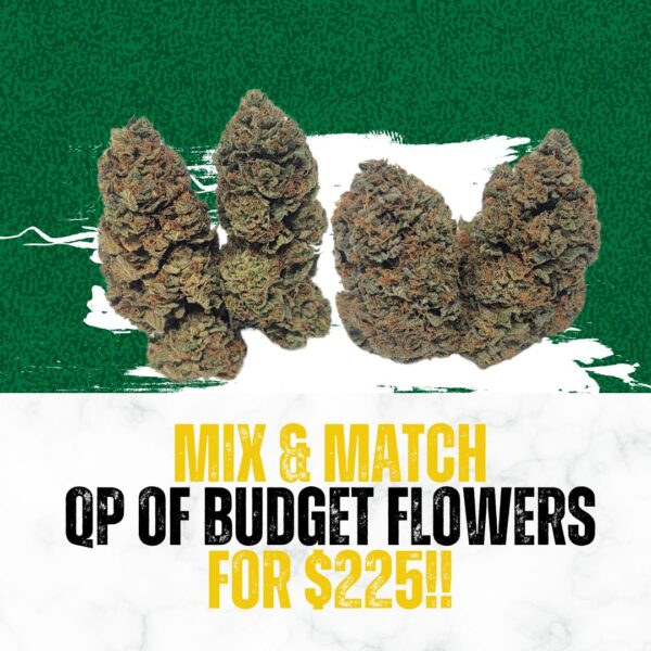 MIX & MATCH QP BUDGET FLOWERS