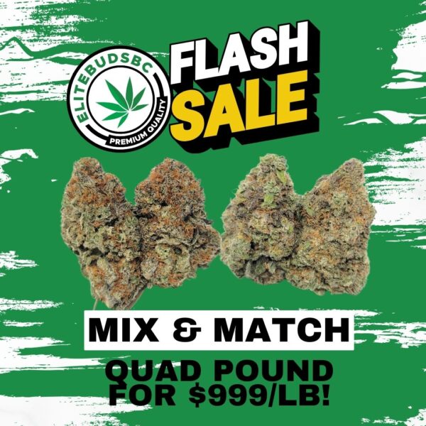 MIX & MATCH QUAD POUND - $899!!!