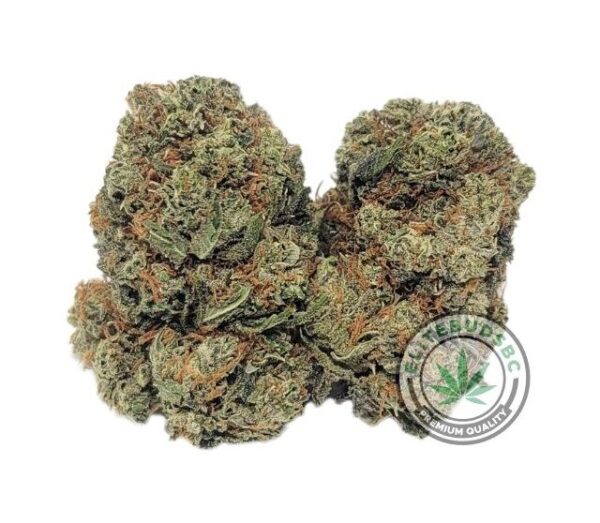 BUDGET FRIENDLY - BLUEBERRY KUSH (CLEARANCE)