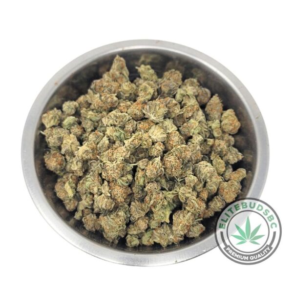 PLATINUM CANDY (AAAA) 'POPCORN'