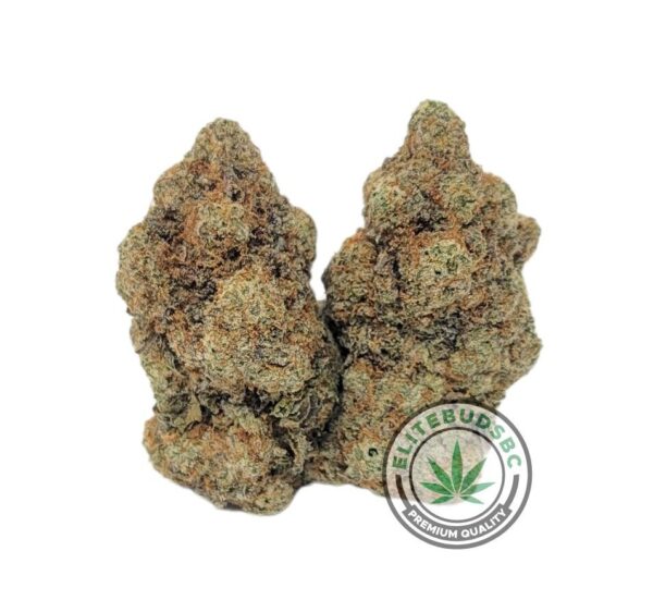 MIRACLE ALIEN COOKIES (AAAA)