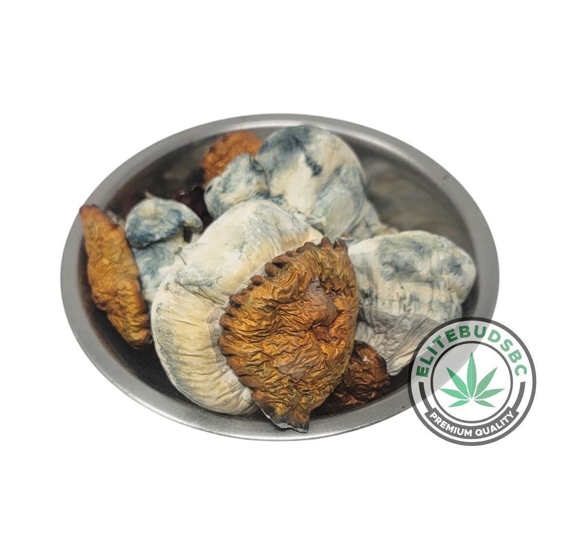 KING KONG SHROOMS