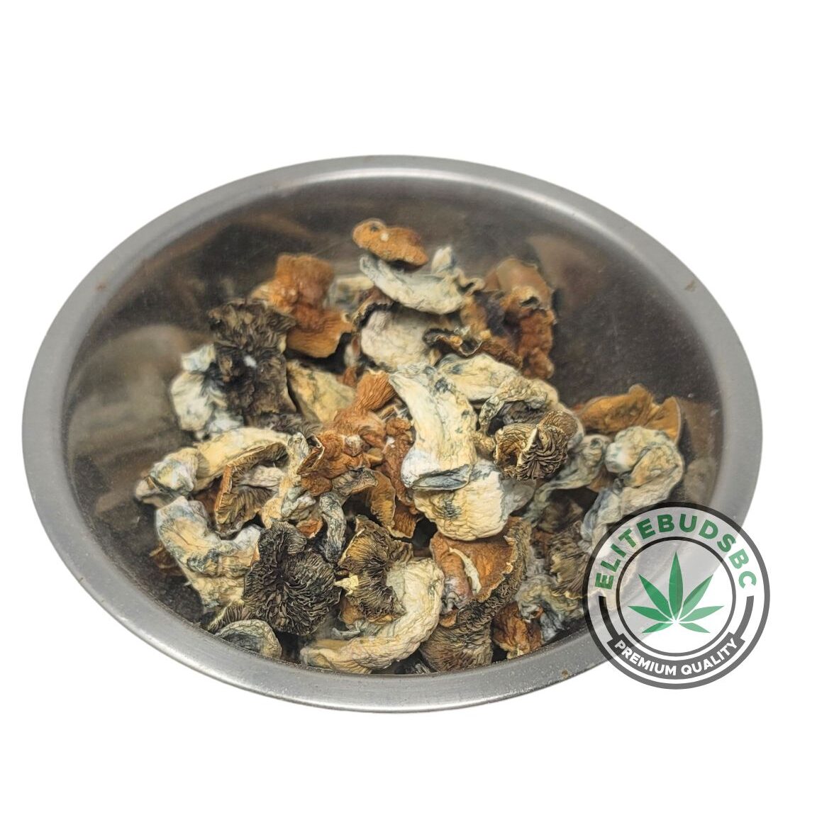 B+ SHROOMS