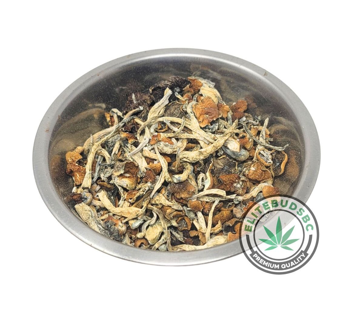 MALABAR SHROOMS