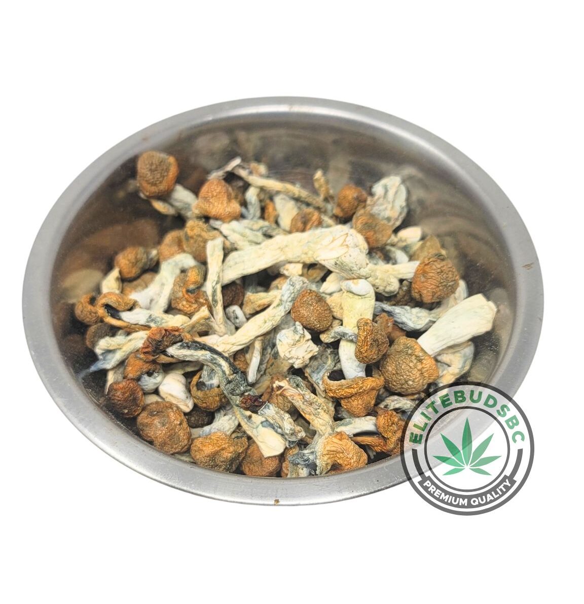 TRINITY MAGIC SHROOMS