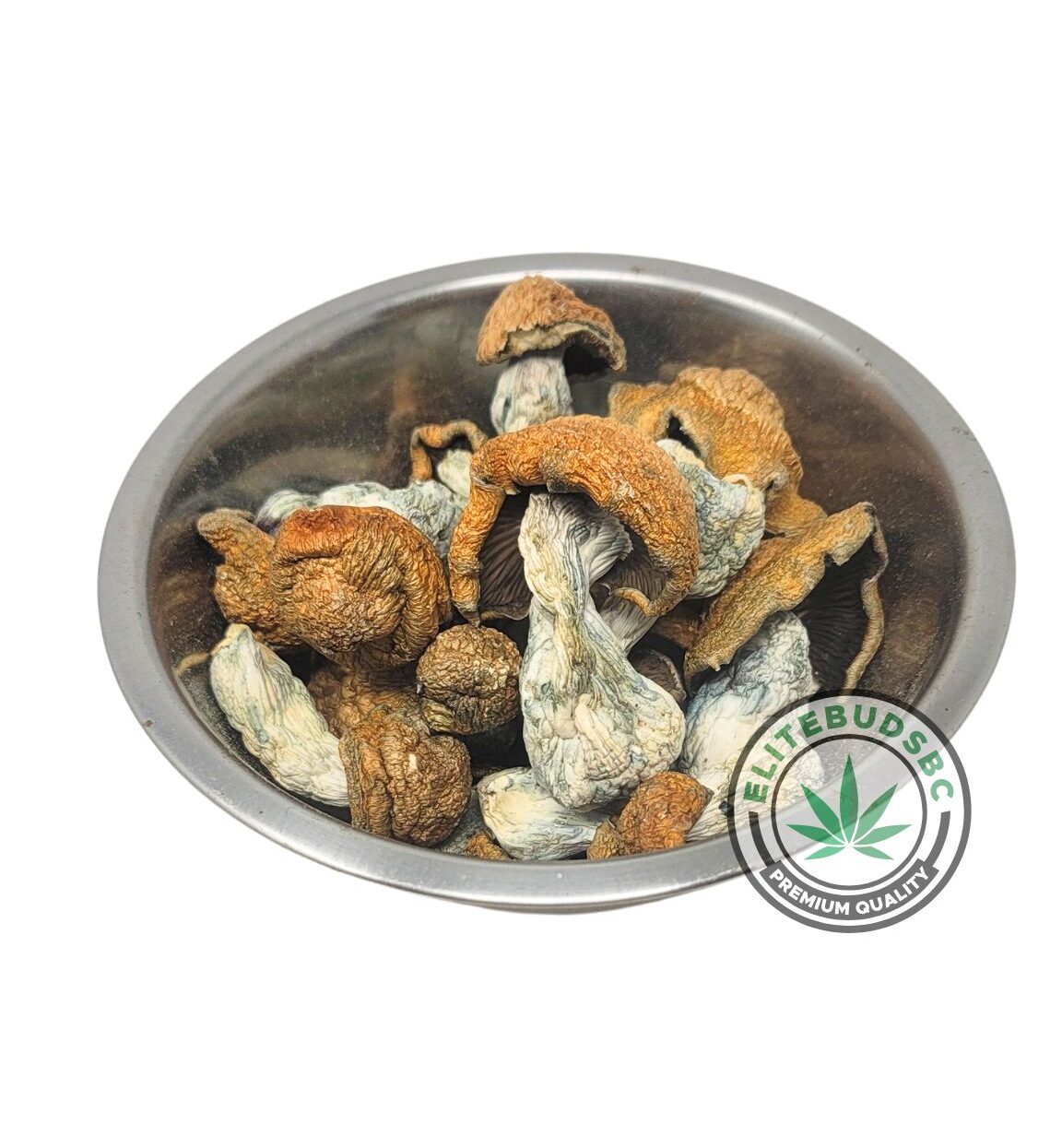 CODE BLUE SHROOMS