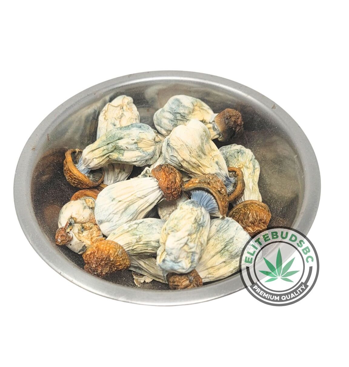 GOLD MEMBER SHROOMS