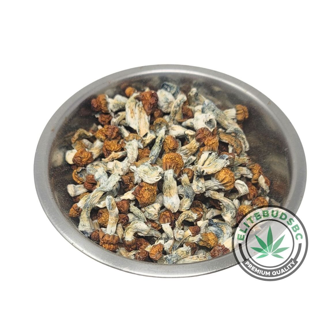 VIETNAMESE SHROOMS
