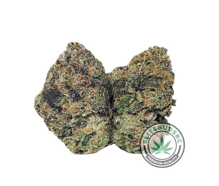 GREASE MONKEY (AAAA)