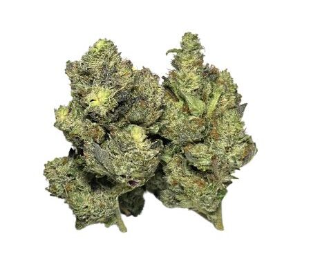 BLUE VENOM (AAAA)