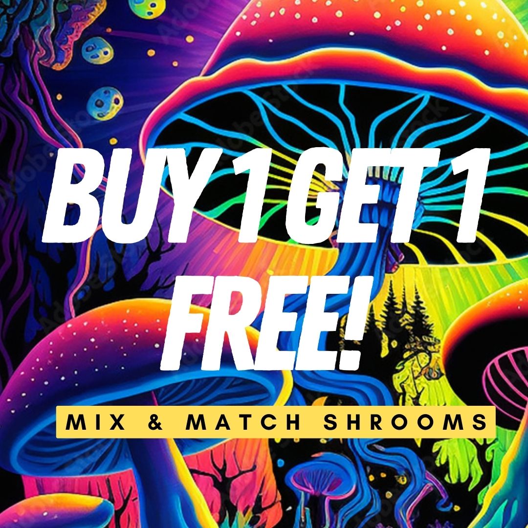 BOGO - SHROOMS MIXER