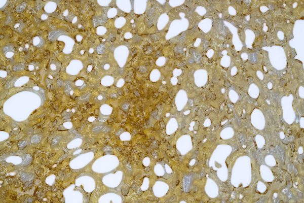 House Shatter – Durban Poison (Sativa) - Image 2