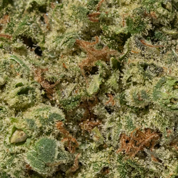 Sage & Sour (AA+)