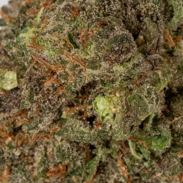 Death Bubba (AAAA+/Popcorn)
