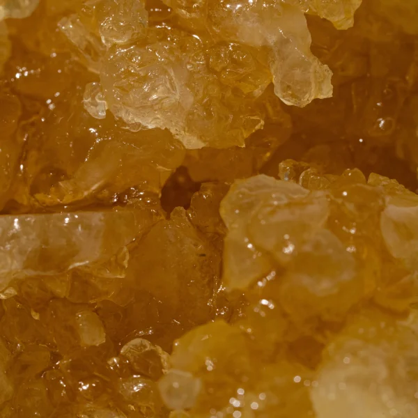 House Caviar — Georgia Pie (Hybird) - Image 2