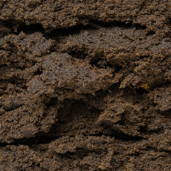 GMO Cookies Hash