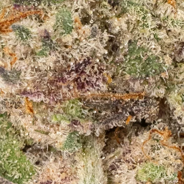 Mac #10 (Craft/AAAAA Popcorn)
