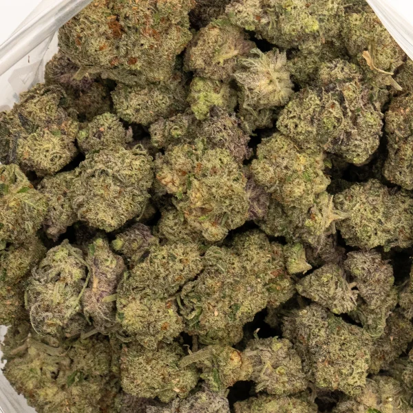 Kraken (AAAA+)