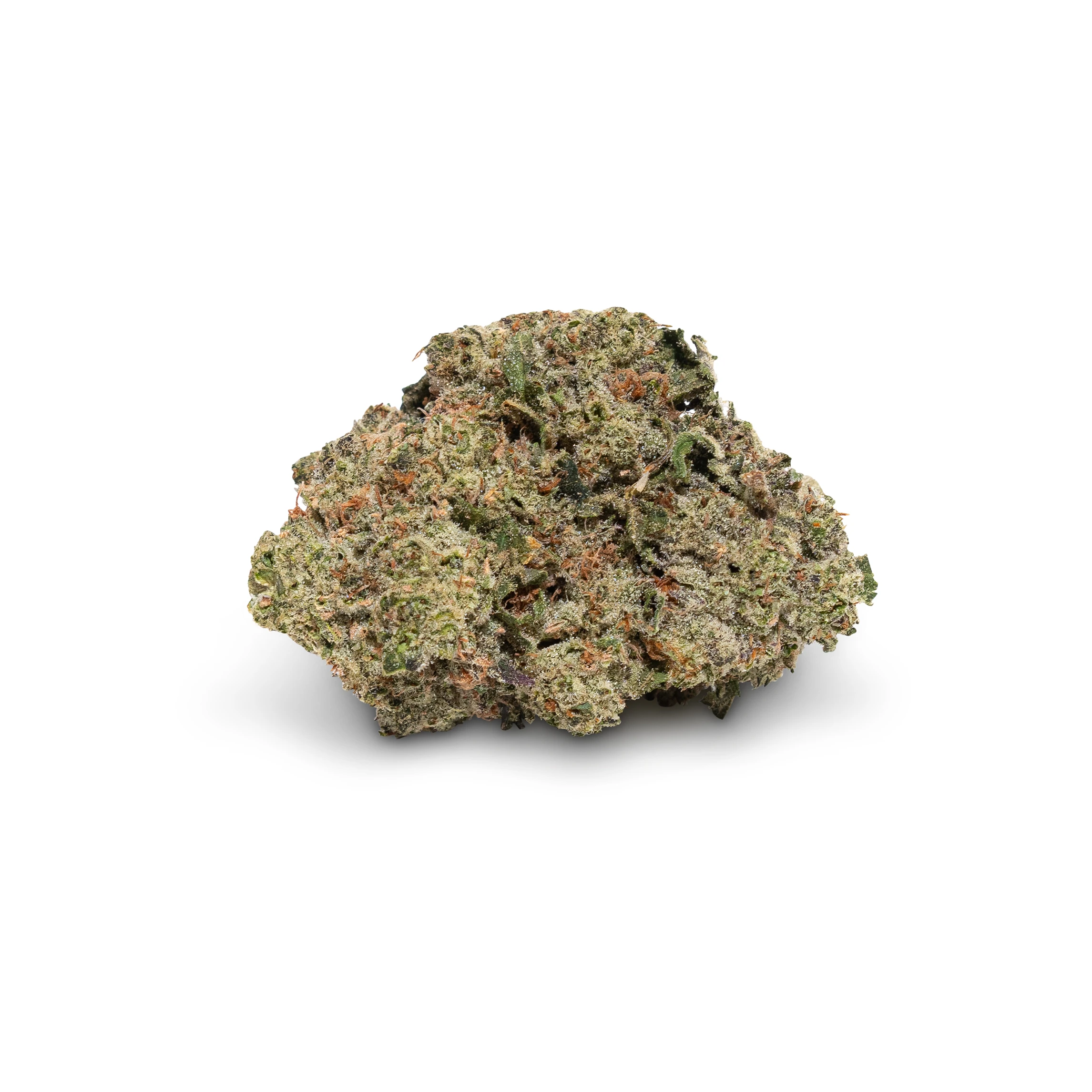 Kraken (AAAA+)