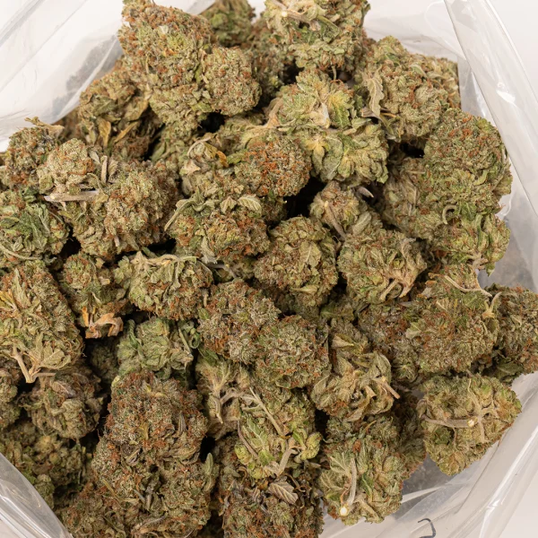 Orange Kush (AA+)