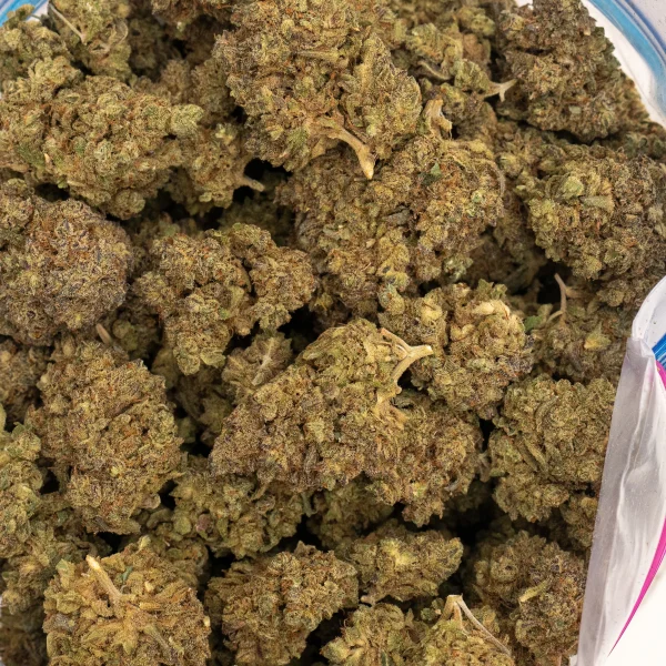 Purple Punch (AA)