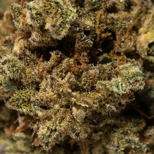 Purple Punch (AA)