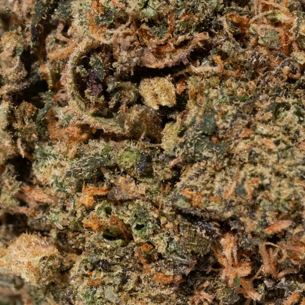 Nebula (AA)