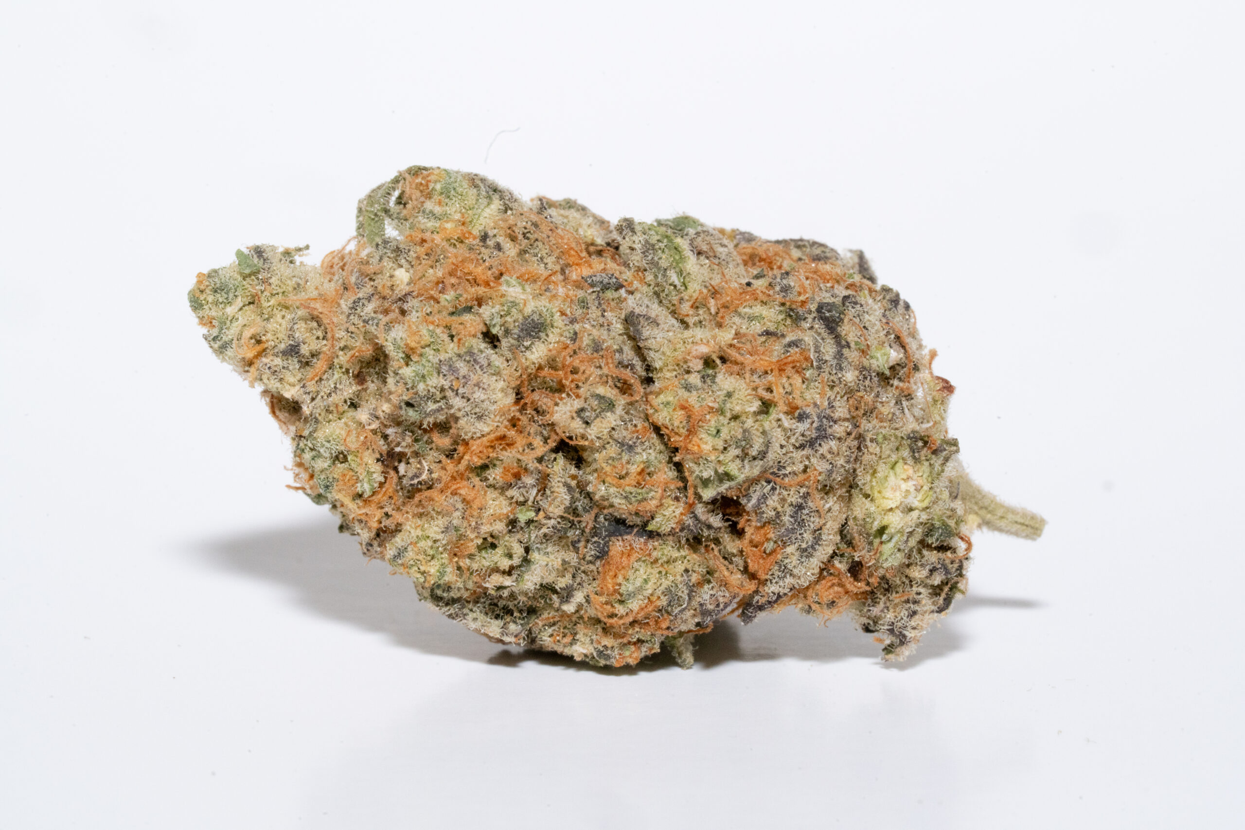 G13 (AA)
