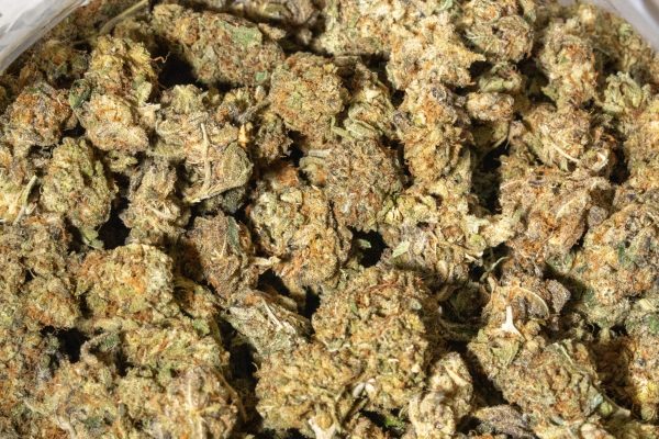 G13 (AA)