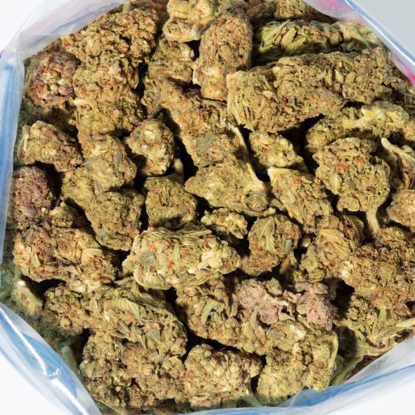 Acapulco Gold (AA+) - Image 3