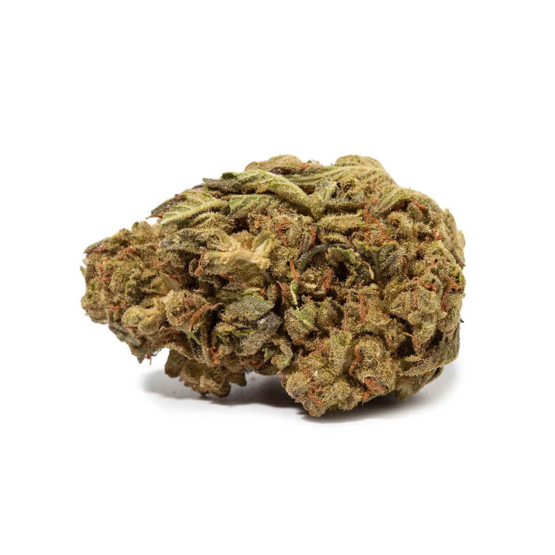 Amnesia (AA+)