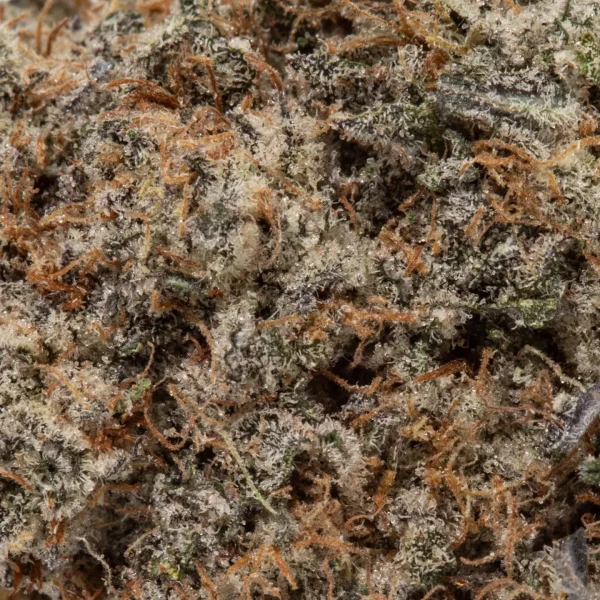 London Pound Cake (AAAA+)