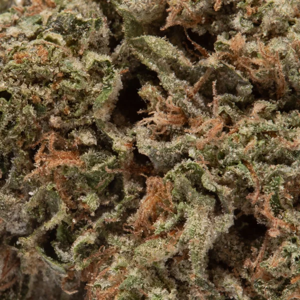 Super Skunk (AAA)