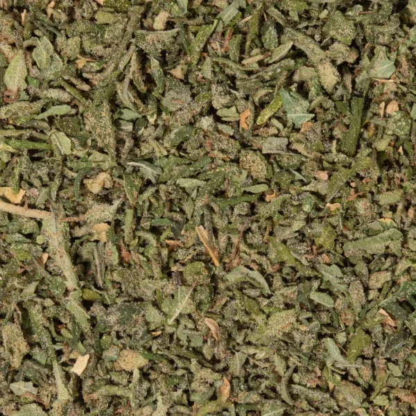 Gelato (AAAA/Shake) - Image 2